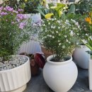 초계꽃식물원 이미지