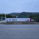 수입체리보다 도 더 맛있는 국산체리 체험,판매 이미지