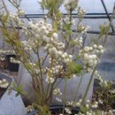 대평농장 이미지