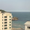 하운드 송정 이미지