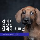 강아지나라동물병원 이미지