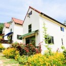 배내골걸리버 이미지