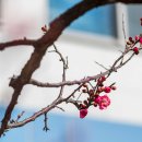 청주중앙여자고등학교 이미지