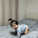 브레드제이 네이버블로그