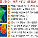 쑥쑥체온다이어트