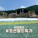 월드레저，월드이벤트 | 홍천 오션월드 입장권 할인 특가 구매 후기 하이 골드시즌