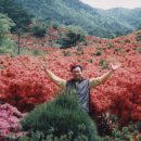 시암골 농장 이미지