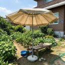 강태공낚시 | 낚시 파라솔 텐트 여름 강태공 직접 써본 솔직 후기