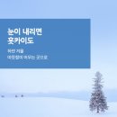 [출발확정]일본 홋카이도 4일 /따끈따끈온천 /아사히야마동물원 +눈의마을 +후라노비에이 +낭만오타루 이미지