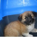 영림축산 이미지