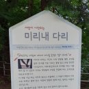 서울대공원 호숫길 이미지