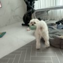 아산베스트이비인후과의원 이미지