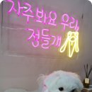 꽃다비펫 이미지