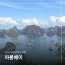 하롱베이 | 베트남 하노이 하롱베이 크루즈 여행 당일 패키지 후기 (날씨, 경비, 코스)