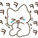 장사도가배유람선