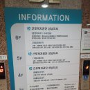 분당 아기랑 갈만한 곳 / 분당 키카 / 리틀비틀 키즈카페 도촌점 후기