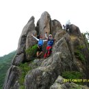 요산경로당 Daum카페