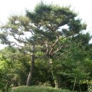 이희재농장 이미지