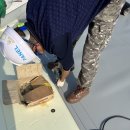 내린천주유소 이미지