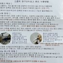 으뜸플러스안경 부산당감점 | 부산 난시 도수있는 수경 안경점 추천! 타비다 미러 내돈내산 사용후기