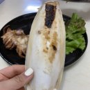 섬마을어부