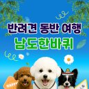 전남도 반려견과 함께 떠나는 남도한바퀴 특별코스 운영[e미래뉴스] 이미지