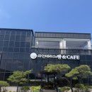 원당 | 고양 베이커리 카페 파인테리스 후기 원당 대형카페