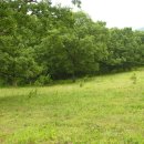 광일목장 이미지