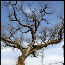 사곡면사무소 이미지