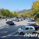 순천-65호 이미지