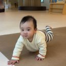 안심소통센터 | 소소소 제주 | 제주소통협력센터 무료 키즈카페 무료입장! <9개월 아기랑 키카>