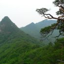 황장산(1077m, 문경시 동로면) 산행기 이미지