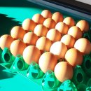 백운농장 이미지