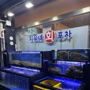 최강회포차 이미지