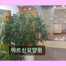 풍덕천로190번길 | 경기 용인시 요양원 요양센터 정보 어르신요양원 전문적인 요양 서비스 제공