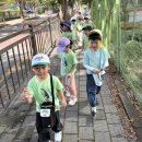 🕷️ 거미줄 따라 매봉산 정상까지! 야호~! 🌳 이미지
