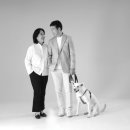 야탑 반려견 이미지