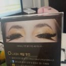 오래쉬(O’LASH) 이미지