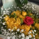 금강교회.복거마을 | 2026년 3월 셋째주 주간일기