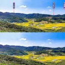 태화산 전경 이미지
