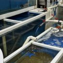 죽변시장 | [경북 울진]죽변 수산물 시장 우리회식당, 광어·해산물 포장 후기