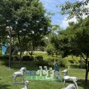 서구청소년수련관 문화마당 | 가볼 만한 곳 :) 대구 수국 명소 이현공원 6월 아이랑 나들이 데이트 꽃구경 수국 개화 상황 주차 후기