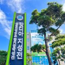 신천지마트
