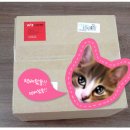 훼이스 앤 바디 | [아비노] 아비노 컨티뉴어스 프로덕션 선블럭 포 훼이스 앤 바디 SPF50+ PA+++/ 후기