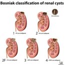 주사랑의원 이미지