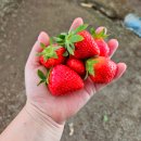 주성농장 이미지