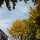 세지중학교 이미지