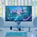퍼플purple