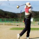 파크골프 이미지