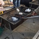 동물농장 | 용인 아이랑 갈만한 곳 포레스트벨 딸기체험, 동물농장 후기